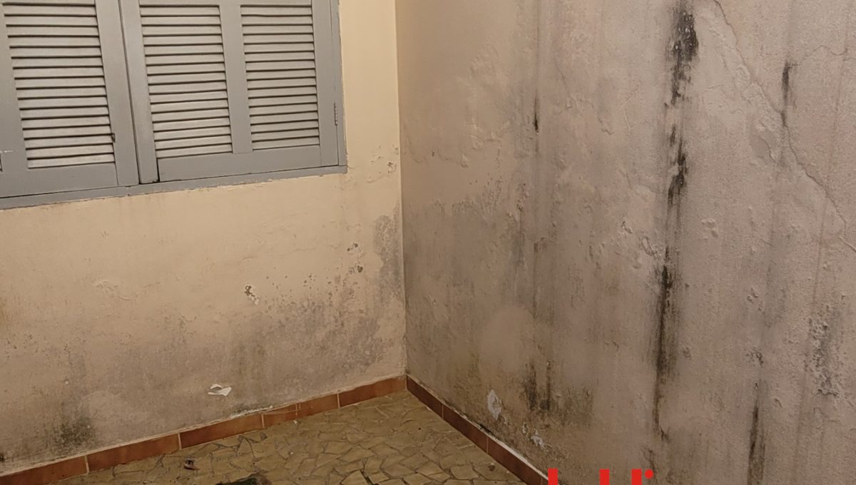 20250423_100721_resized