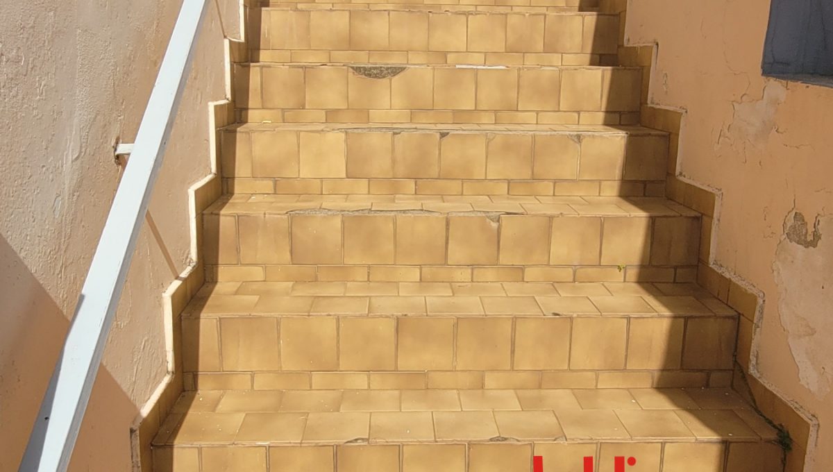 20250423_101038_resized