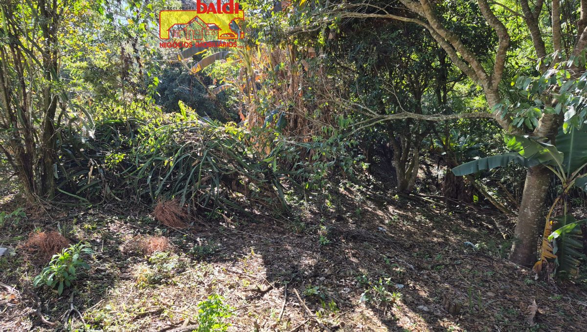 20250626_093420_resized