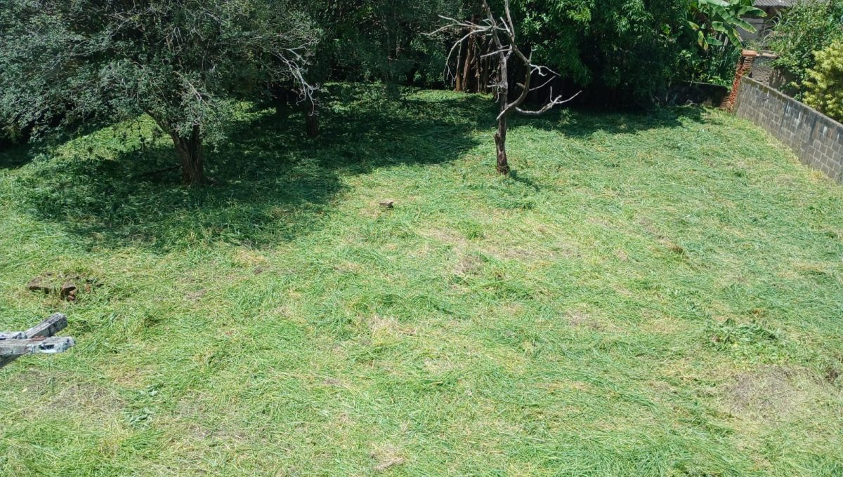IMG-20260227-WA0002