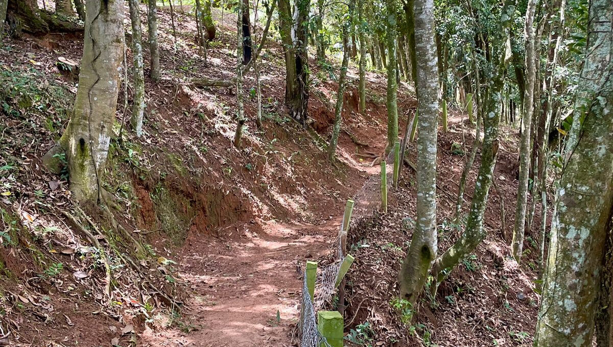TRILHA